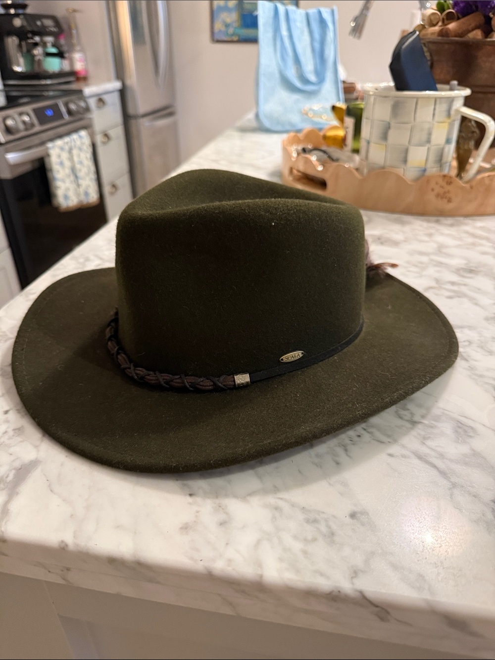 Olive Green Felt Western Fedora Hat with Braided Band